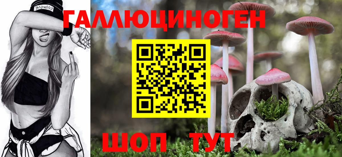 Галлюциногенные грибы Psilocybine cubensis Новосибирск